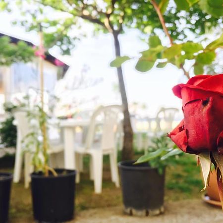 Kompleksi Turistik Edir 오리쿰 외부 사진
