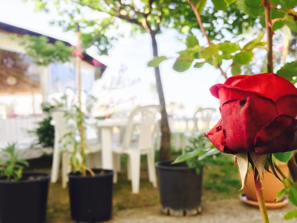 Kompleksi Turistik Edir 오리쿰 외부 사진